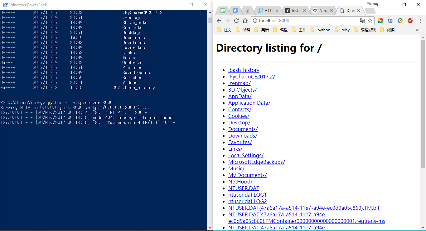 Running your first web server